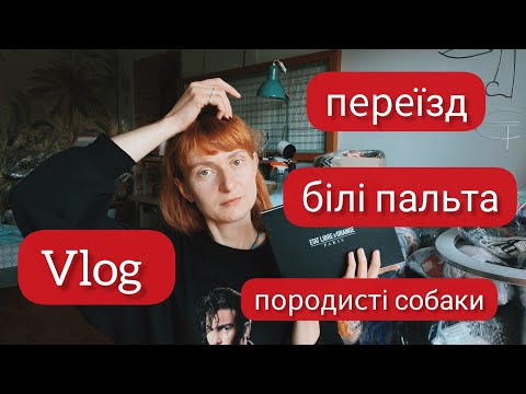 Видео: Пакую речі / моє ставлення до власників породистих собак / білі пальта в соц мережах