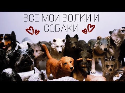 Видео: ВСЯ МОЯ КОЛЛЕКЦИЯ ВОЛКОВ И СОБАК | обзор