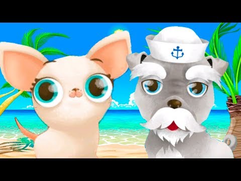 Видео: МИСС ГОЛЛИВУД в Отпуске с животными #1 Кошки и собаки - пурумчата