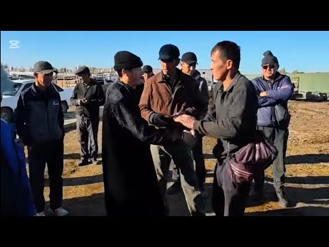 Видео: 12 ОКТЯБР 2025 ЖЫЛ ШЫМБАЙ МАЛ БАЗАР