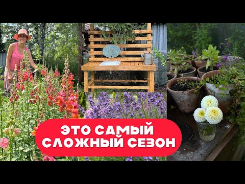 Видео: ЦВЕТОЧНАЯ ФЕРМА НЕ ПОЛУЧИЛАСЬ… САДОВЫЙ СТОЛ и ПЕРВЫЙ ОБЗОР ПЕТУНИЙ