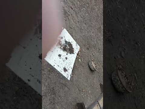 Видео: Маньяк Иванов в реальной жизни
