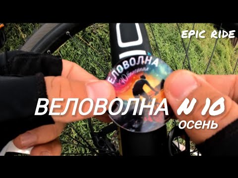 Видео: Веловолна 2024 осень