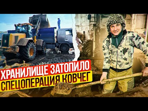 Видео: ОТГРУЗКА ЗЕРНА, ДРЕНАЖНАЯ СИСТЕМА В РАБОТЕ