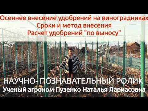 Видео: Осеннее внесение удобрений на винограднике Продаю черенки саженцы виноград https://shop.vinograd7.ru