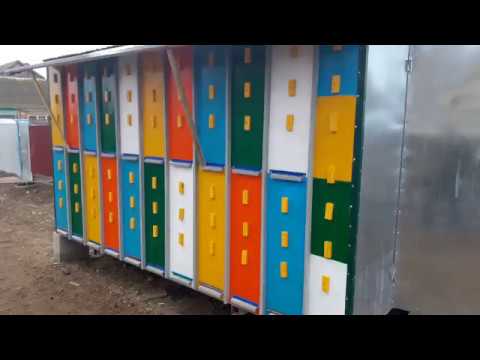 Видео: Равиль строит пчелопавильон