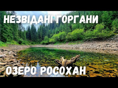 Видео: Незвідані Горгани. Озеро Росохан.