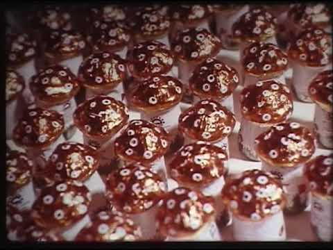 Видео: Куйбышевская шоколадная фабрика (хроника 1980 год)