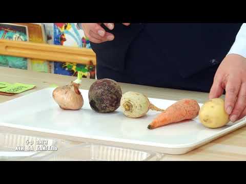 Видео: Теле хичээл 5-р анги 2021.03.30 /Хүн ба байгаль/