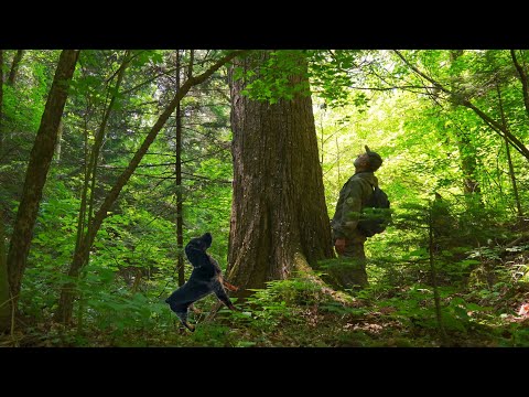 Видео: ОСТАТЬСЯ в ЖИВЫХ на Макаровских водопадах в Приморском крае.