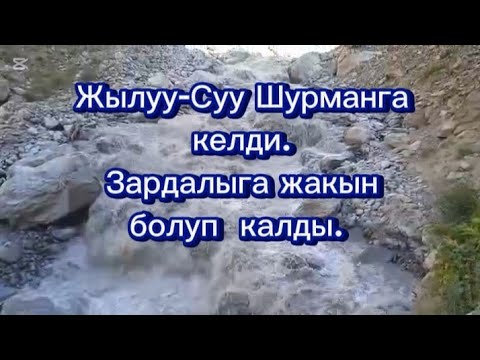 Видео: Ден соолукка пайдалуу жылуу  суу Шурманга шланг аркылуу келди