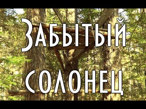 Видео: Забытый зверовой солонец Старинный, с сидьбой ( лабаз ) в тайге