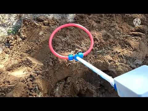 Видео: Коп в лесу и первые находки.