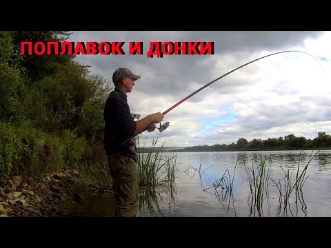 Видео: ЛОВИЛ ЖИРНУЮ ПЛОТВУ, А ТУТ МОЩНАЯ ПОКЛЁВКА НА ДОНКУ. Рыбалка на ПОПЛАВОК И ДОНКУ на ОКЕ.