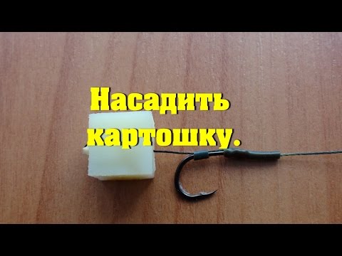 Видео: Насадка варенный картофель. Как насадить картошку для рыбалки.