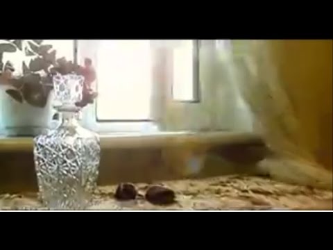 Видео: Чинболор & Энхмэнд - Гэгээн гуниг (2006)