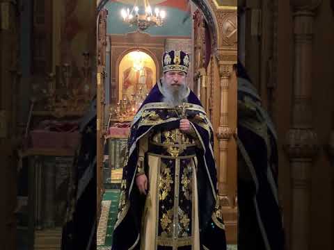 Видео: О вирусе и не только! Слово архимандрита Мелхиседека (Артюхина)