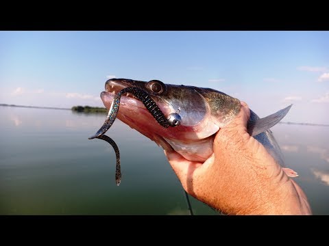 Видео: Новые ТОЧКИ | ЛОВИМ СУДАКА!!!