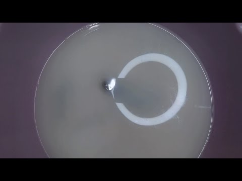 Видео: пятничная болталка