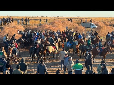 Видео: Нурахмет аганын келин тусирген тойы Ат шабыс кокбар той Нокис район Шортанбай 13-11-2024