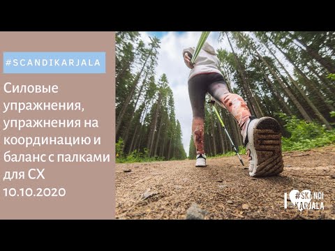 Видео: Силовые упражнения, упражнения на координацию и баланс с палками для скандинавской ходьбы