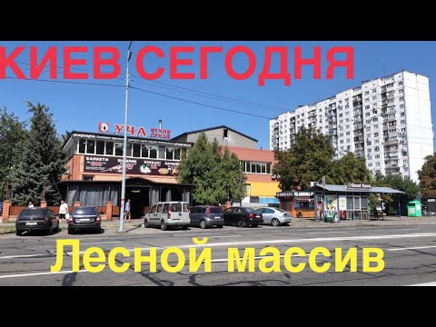 Видео: 30.08.2024, Деснянский район, массив Лесной