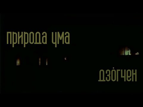 Видео: надоедливый болтун