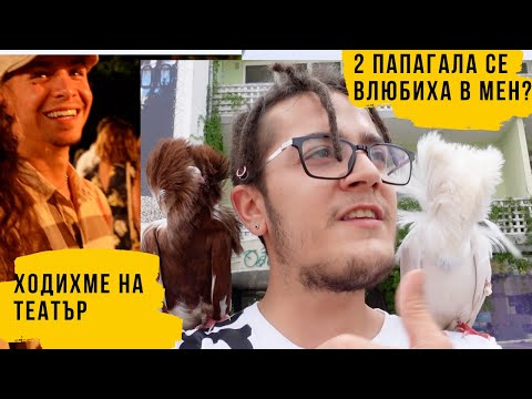 Видео: ХОДИХМЕ НА ПОСТАНОВКА В ЛЕТНИЯ ТЕАТЪР ВАРНА | ОБИКАЛЯМЕ ЦЯЛ ДЕН | СЕЗОН 1 ЕПИЗОД 28