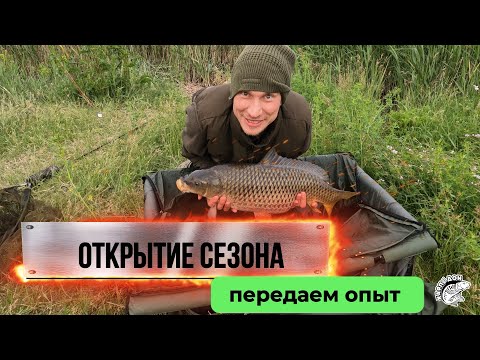 Видео: Открытие сезона. Прививаем молодому поколению карпфишинг.