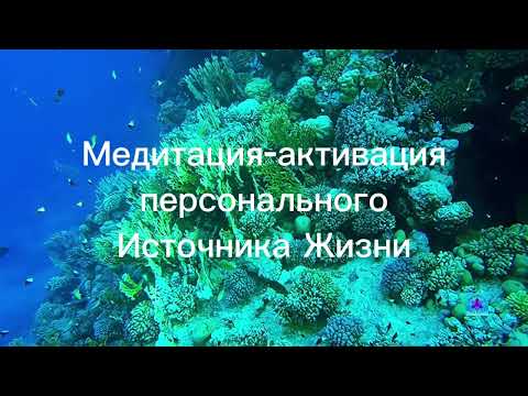 Видео: Источник Жизни | Я — Поток | Медитация-активация #душа #жизнь #любовь #духовность #развитие 