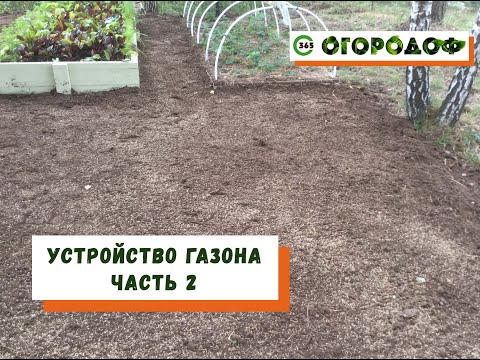 Видео: Что нужно знать при организации газона. Часть 2