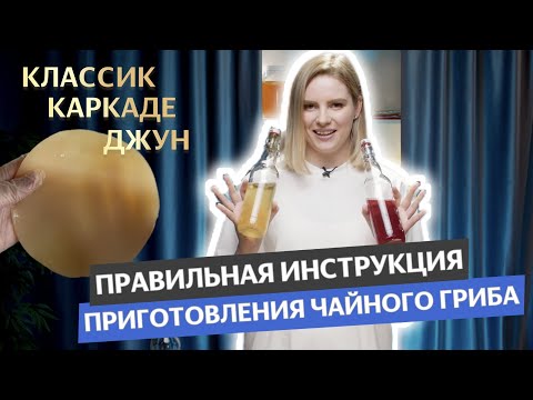 Видео: ЧАЙНЫЙ ГРИБ / Готовим комбучу правильно