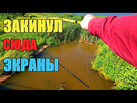 Видео: РЫБАЛКА НА ЭКРАНЫ НА ВОДОСБРОСЕ. Ловим рыбу на уху.