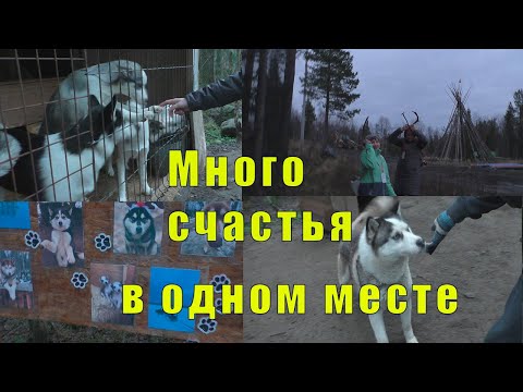 Видео: СКОЛЬКО СЧАСТЬЯ В ОДНОМ МЕСТЕ / ПРОГУЛКА ПРОДОЛЖАЕТСЯ / 28 октября 2025 год