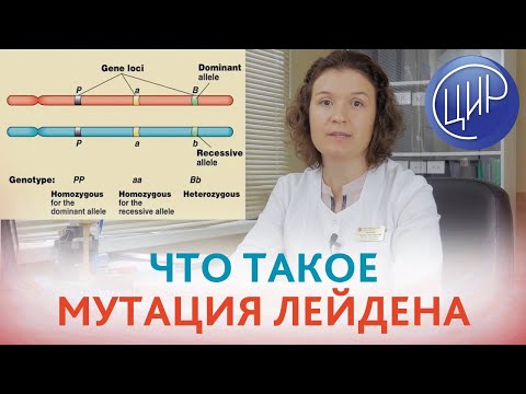 Видео: ЛЕЙДЕНСКАЯ МУТАЦИЯ. Что такое мутация Лейдена и как она влияет на гемостаз. Кочанжи М.И.