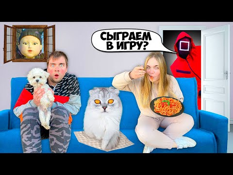 Видео: 24 часа ИГРА В КАЛЬМАРА В РЕАЛЬНОЙ ЖИЗНИ С КОТАМИ