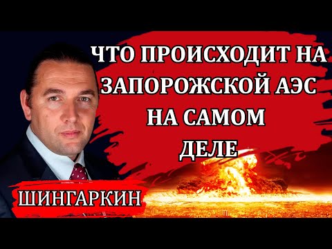 Видео: Что происходит на Запорожской АЭС / Максим Шингаркин