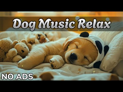 Видео: 12 Часов Музыки для Собаки 🐾 Музыка для собак от тревоги 🐕 Спокойствие, Снятие Стресса, Без Рекламы