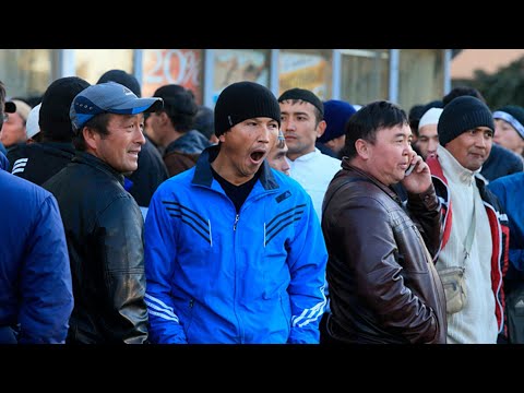 Видео: москва ташкент автобус нархлари