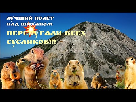 Видео: Шихан. Торатау. Распугали всех сусликов!!!