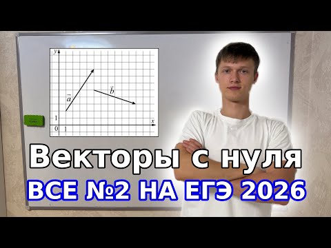 Видео: Векторы: все типы 2 задания ЕГЭ Профиль 2026