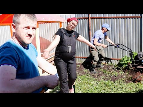 Видео: ГАРЕМ 🤰🏻БЕРЕМЕННОЙ 12- М! ДВА МУЖА НА ОДНОЙ КУХНЕ