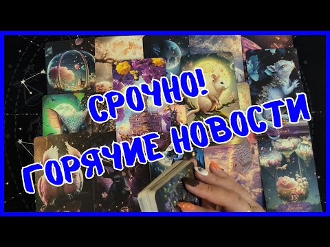 Видео: Таро Для Мужчин Сегодня 💙СРОЧНЫЕ НОВОСТИ❗️КАКИЕ ПЕРЕМЕНЫ ПРОИЗОЙДУТ❗️Tarot❗️Вика Таро