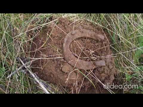 Видео: Сентябрьские заморозки.Начали октябрь с урочища Даньша.Коп металла.