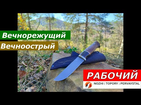 Видео: Вечнорежущий СУПЕРНОЖ от Pervaystal из S390 !!! Суровый тест! Такого я точно не ожидал...