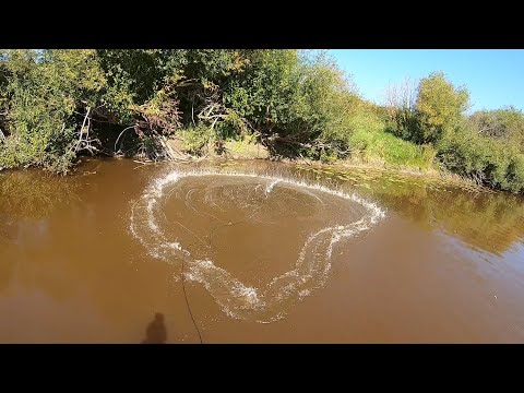 Видео: ОСЕННЯЯ РЫБАЛКА НА КАСТИНГОВУЮ СЕТЬ. НАКИДКА КАК ВСЕГДА РАДУЕТ. ЭТА СНАСТЬ НЕ ОСТАВИТ БЕЗ УЛОВА.