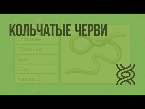 Видео: Кольчатые черви. Видеоурок по биологии 7 класс