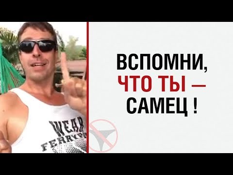 Видео: Алекс Лесли : "Вспомни, что ты — самец!"