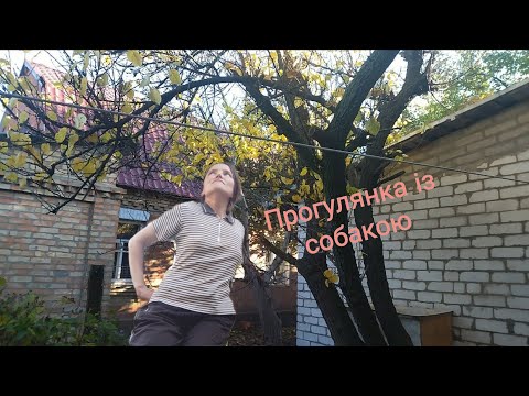 Видео: Прогулянка осінью із собакою. Ліна Лущ