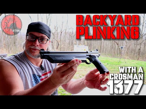 Видео: Crosman 1377 — игра на заднем дворе